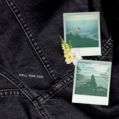 Fall For You 专辑 Steve James