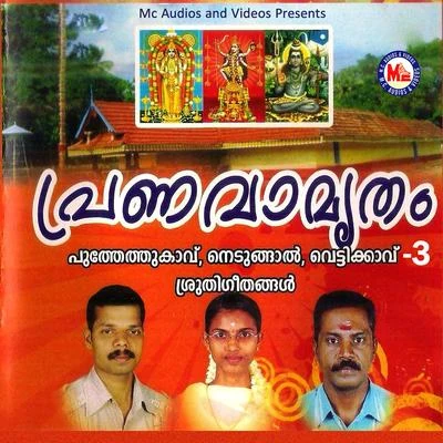 Pranavamrutham, Vol. 3 專輯 Prasad/Neelu/Bosskey