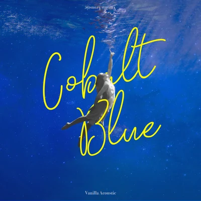 Cobalt Blue 专辑 Vanilla Acoustic