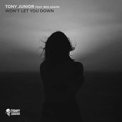 Wont Let You Down 專輯 Tony Junior