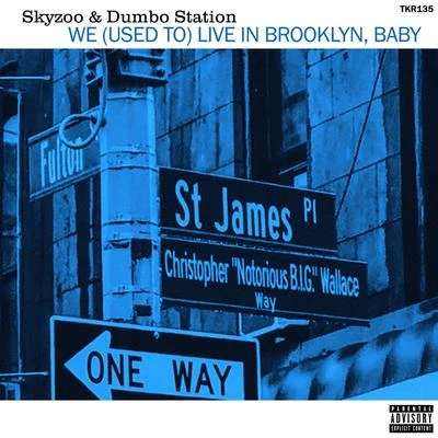 SkyzooFame & Chizz We (Used to) Live in Brooklyn, Baby