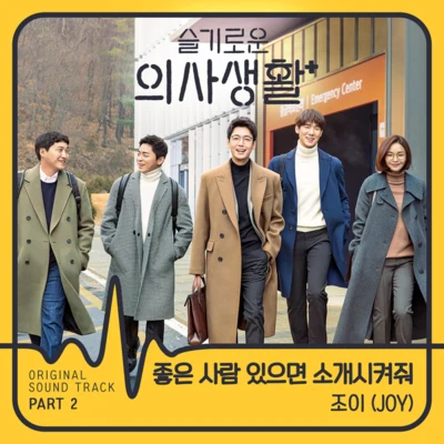 JoyMAJA 슬기로운 의사생활 OST Part 2