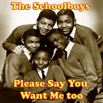 Please Say You Want Me too 專輯 The Del Roys/Caslons/Tricks/Bobby Pedrick/Preludes Five