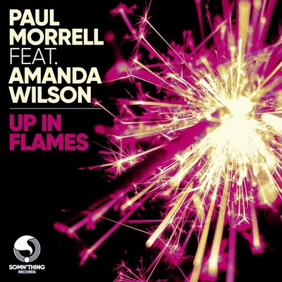 Up In Flames (feat. Amanda Wilson) [Game Chasers Remix] 专辑 Paul Morrell