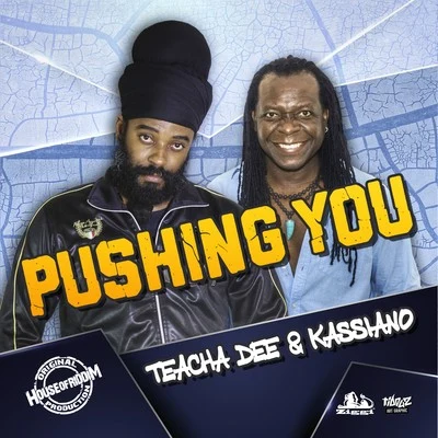 Pushing You 专辑 Sinks/Teacha Dee