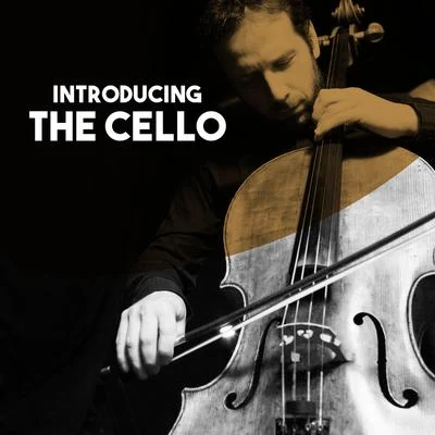 Introducing: The Cello 专辑 Jörg Metzger/Camerata Academica Würzburg/Gert Hoelscher/Antonio Vivaldi/Conrad von der Goltz