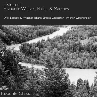 J. Strauss II - The Blue Danube 專輯 Wiener Johann Strauss Orchester