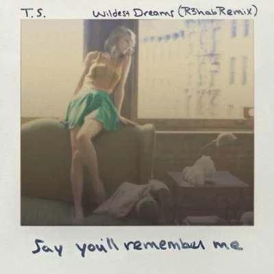 Taylor SwiftEd Sheeran Wildest Dreams (R3hab Remix)