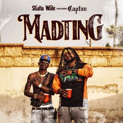 Madtin 專輯 Nina Browwn/Shatta Wale