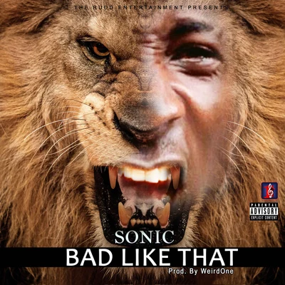 SonicD-Vstor Bad Like That