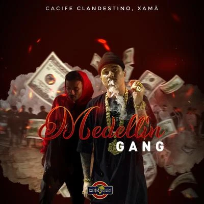 Medellin Gang 專輯 Cynthia Luz/Cacife Clandestino