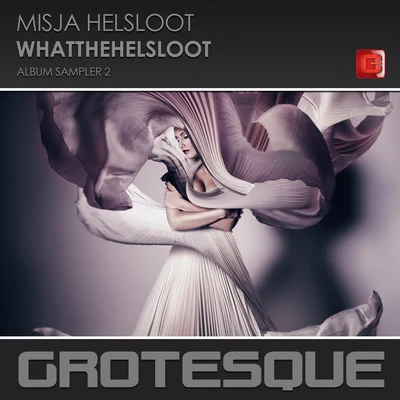 WhatTheHelsloot (Album sampler 2) 專輯 Misja Helsloot