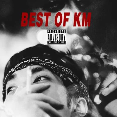 BEST OF KM 專輯 KM/Terry