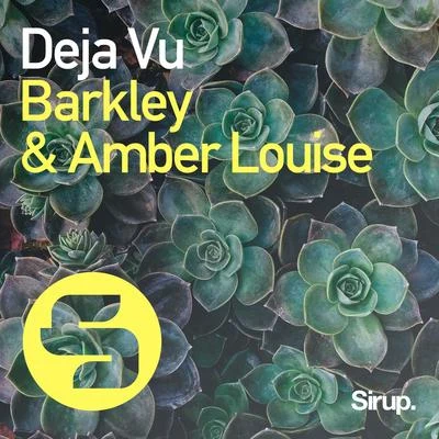 Deja Vu 專輯 Barkley