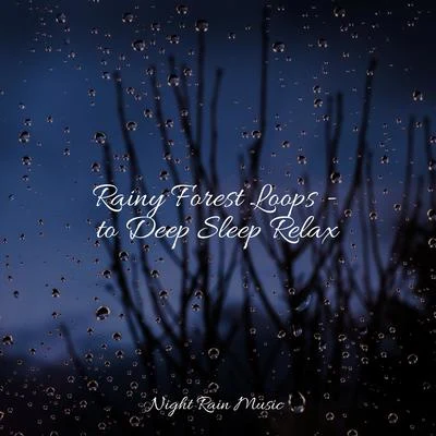 Rainy Forest Loops - to Deep Sleep Relax 專輯 Yoga Relaxation Music/Yoga Soul/Relaxation/Kundalini: Yoga/Meditation