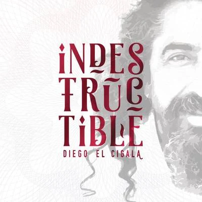 Indestructible: Track by Track 专辑 Diego el Cigala