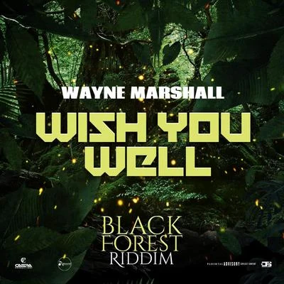 Wayne Marshall Wish You Well