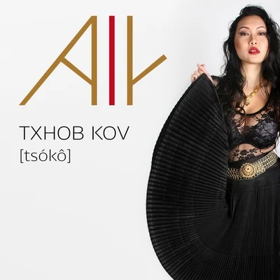 Txhob Kov (Tsoko) 專輯 Aly