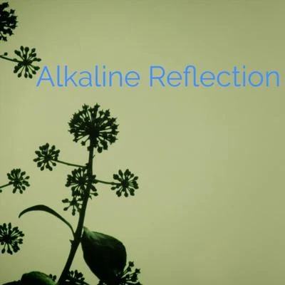 Reflection 专辑 Alkaline