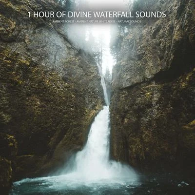 Ambient Nature White NoiseEasy Sleep MusicStudying Music 1 Hour of Divine Waterfall Sounds