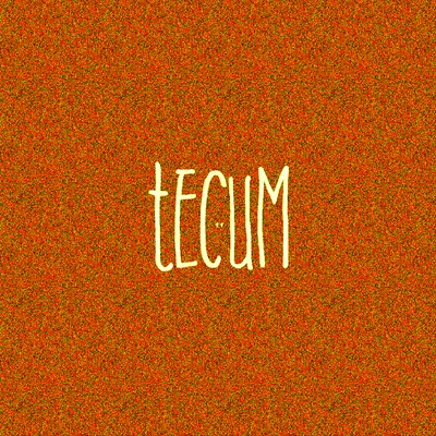 TECUM 專輯 DJ Figu