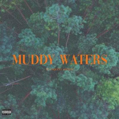 Muddy Waters 專輯 Delinquent Society/Rjay Ty