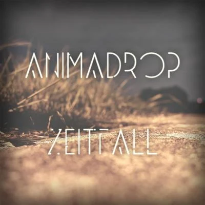 Zeitfall 专辑 Animadrop/Chenda