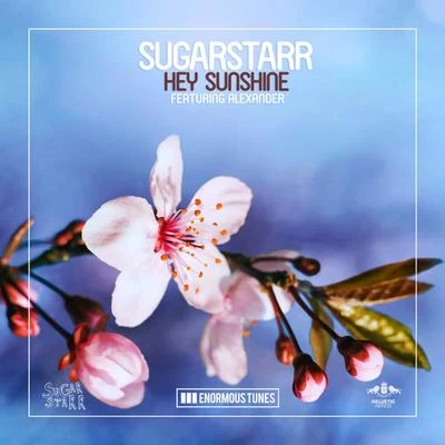 Hey Sunshine 专辑 Sugarstarr/Who Knows