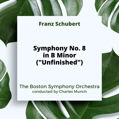 Schubert: Symphony No. 8 in B Minor ("Unfinished") 專輯 The Boston Symphony Orchestra