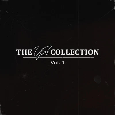 YS Collection Vol. 1 專輯 Logic/The Believers/Ultra Naté/The Don/Krimp