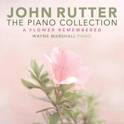 The Piano Collection 專輯 Wayne Marshall/Leonard Bernstein/Maurice Steger/Maria Kliegel/Benyamin Nuss