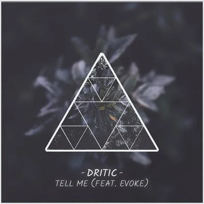 Tell Me (feat. Evoke) 专辑 Dritic