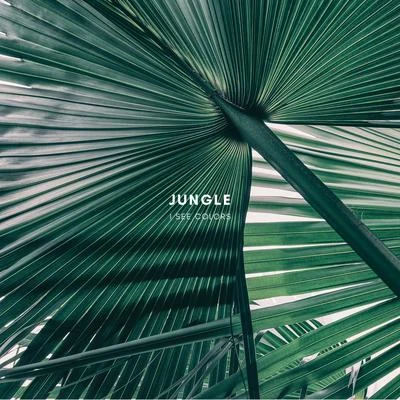 Jungle 專輯 I See Colors