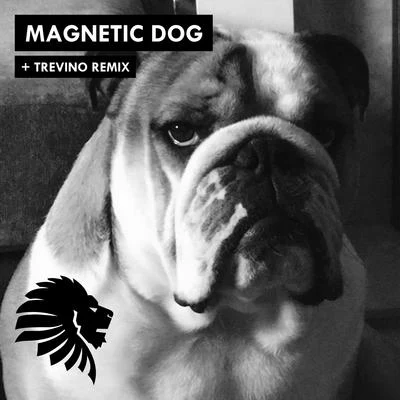 Magnetic Dog 專輯 Alan Fitzpatrick