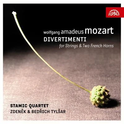 Mozart: Divertimenti for Strings and 2 French Horns 專輯 Zdeněk Tylšar/Czech Philharmonic/Václav Neumann