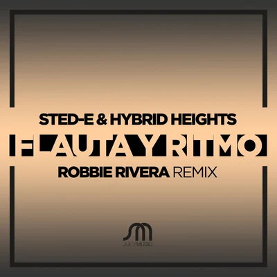 Sted-EHybrid Heights Flauta Y Ritmo