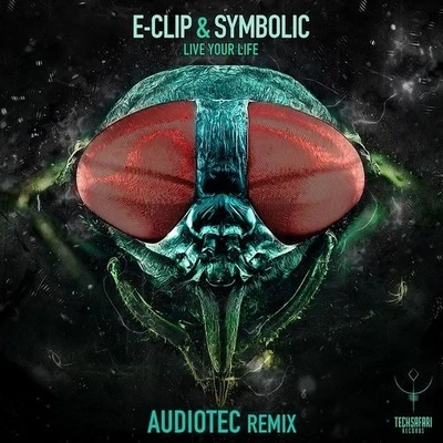 Live Your Life (Audiotec Remix) 專輯 Audiotec/Zen Mechanics/Yestermorrow/Dual Resonance/Symbolic