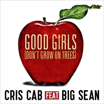 Good Girls (Dont Grow On Trees) 專輯 Cris Cab/Willy William