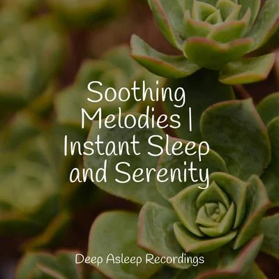 Pro Sound Effects Library Soothing Melodies | Instant Sleep and Serenity