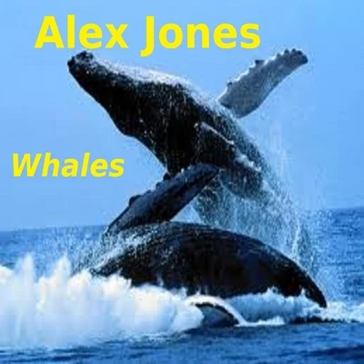 Whales 专辑 Quando/Alex Jones/Ezra Hazard