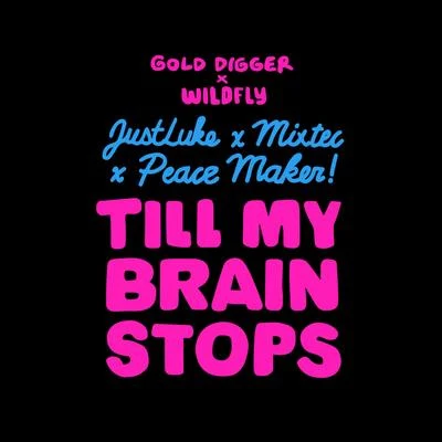 Till My Brain Stops 專輯 JustLuke/GODAMN/Zblu/Trace/Green Ketchup