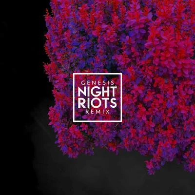 Genesis (Night Riots Remix) 专辑 Olivver the Kid/Armors/La Bouquet