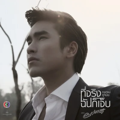 ที่จริงฉันก็เจ็บ (เพลงประกอบละคร ลมซ่อนรัก [Acoustic]) 專輯 Nadech Kugimiya/อนุสรา วันทองทักษ์/Bow Maylada/ภูศิลป์ วารินรักษ์/นับตังค์ นันท์ณภัส