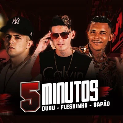 5 Minutos (feat. Mc Dudu) 專輯 MC Sapão do Recife/Robinho Destaky