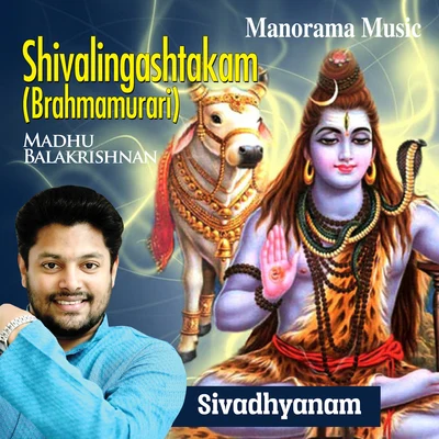 Shivalingashtakam (From "Sivadhyanam") 專輯 Vrindha Shameek Ghosh/Madhu Balakrishnan