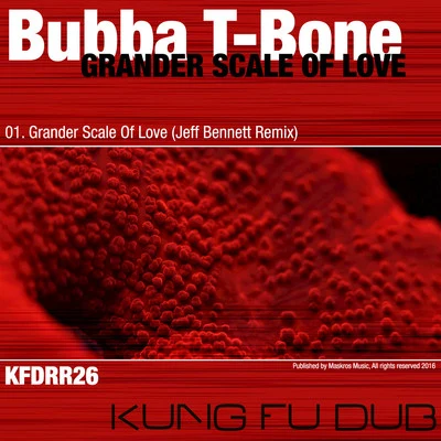 Grander Scale of Love (Jeff Bennett Remix) 專輯 Prynce P/Bubba/IQ Muzic/Keynote/Eclipse Darkness