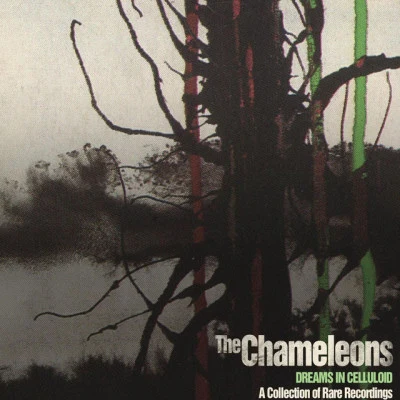 Dreams in Celluloid: A Collection of Rare Recordings 專輯 The Chameleons