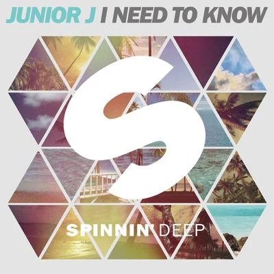 I Need To Know 专辑 Ganzfeld Effect/Junior J