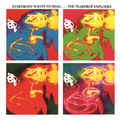 Everybody Wants To Shag... The Teardrop Explodes 專輯 The Teardrop Explodes