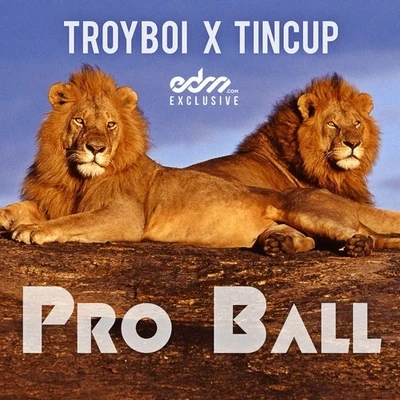 Pro Ball 專輯 TroyBoi